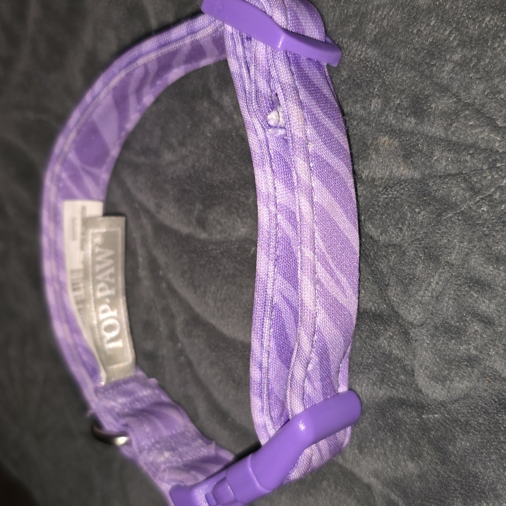 Top Paw S Small Lavender Purple Zebra Print Pet Collar Dog Cat